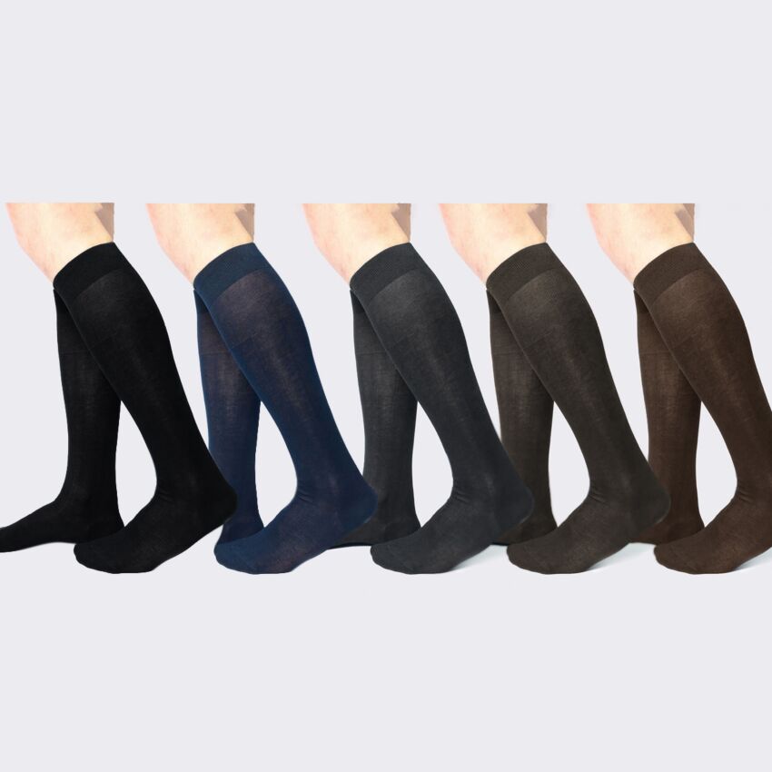 TORREGGIANI 6 Calzini uomo lungo 100% filo scozia art.241 - Cassaniti