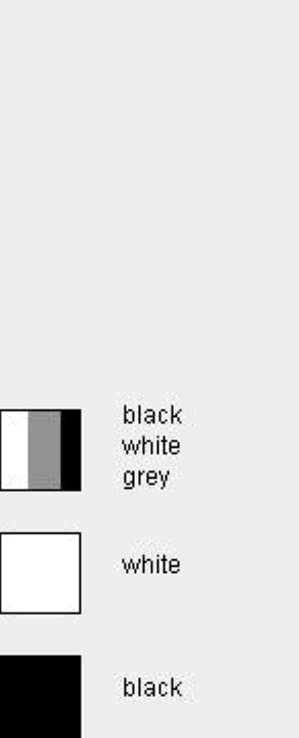 Calvin Klein Slip Uomo Classico 3 Pezzi - Cassaniti